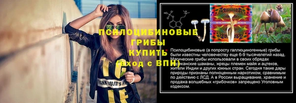 ECSTASY Балабаново